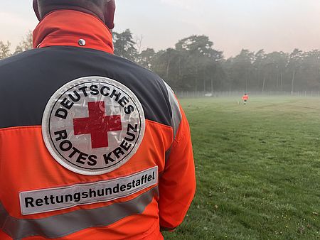 Eine Einsatzkraft in Einsatzkleidung wird von hinten gezeigt, wie sie einem Rettungshunde-Team zusieht. Auf dem Rücken ist das DRK-Logo und die Aufschrift "Rettungshundestaffel" zu lesen.